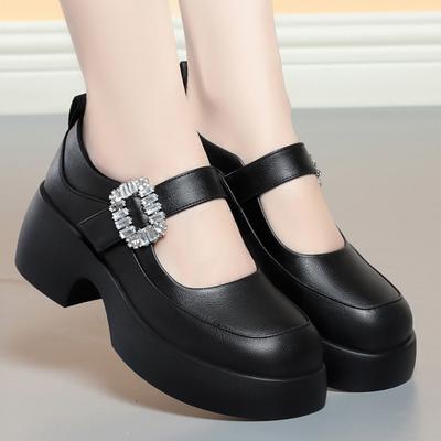 Модные туфли Мэри Джейн на платформе 2024 года, новые женские туфли на толстом каблуке, модные уличные туфли в стиле Лолиты с круглым носком и ремешком на щиколотке