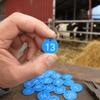 20Pcs ABS Numbered Tag Labels Blue Hanging Identification Tags Farm Livestock Tags  Beekeeping
