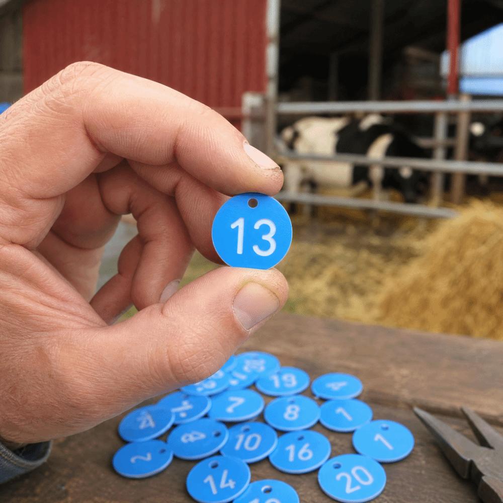 20Pcs ABS Numbered Tag Labels Blue Hanging Identification Tags Farm Livestock Tags Beekeeping