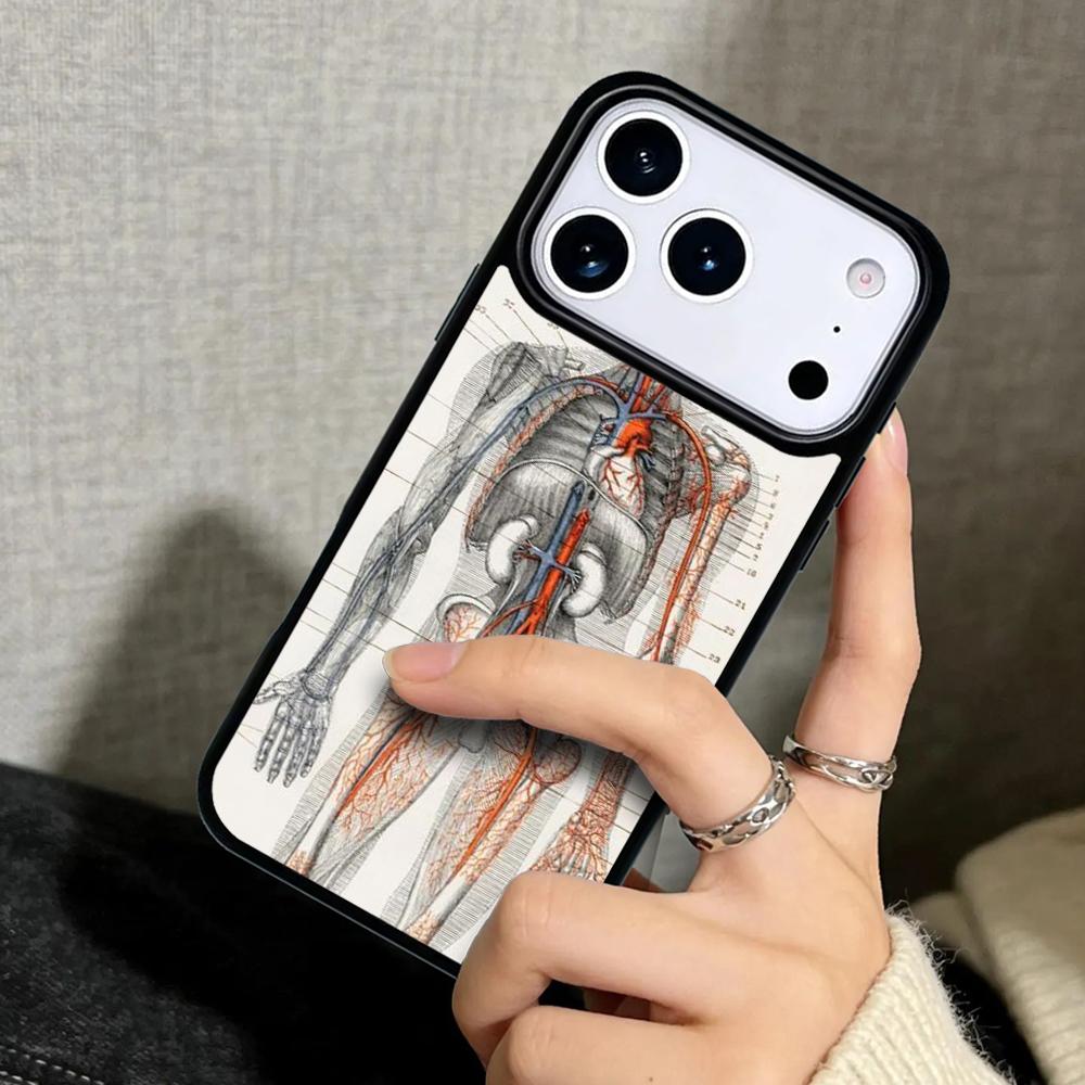 Чехол Case для iPhone 17 Air 16 Pro Max 15 Plus 11 13 Mini 14 12 Задняя крышка телефона Радиологические человеческие органы Скелет