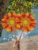 [Summer Limited Edition] 2026 New Model Handheld Fan, Portable Hand-Cranked Fan, Lucky Fan, Photo Prop