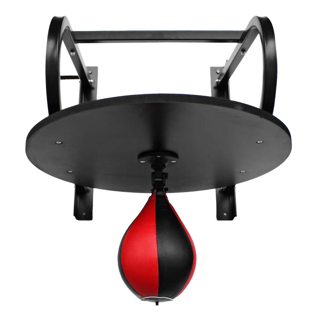 Training Ball With Master Handle