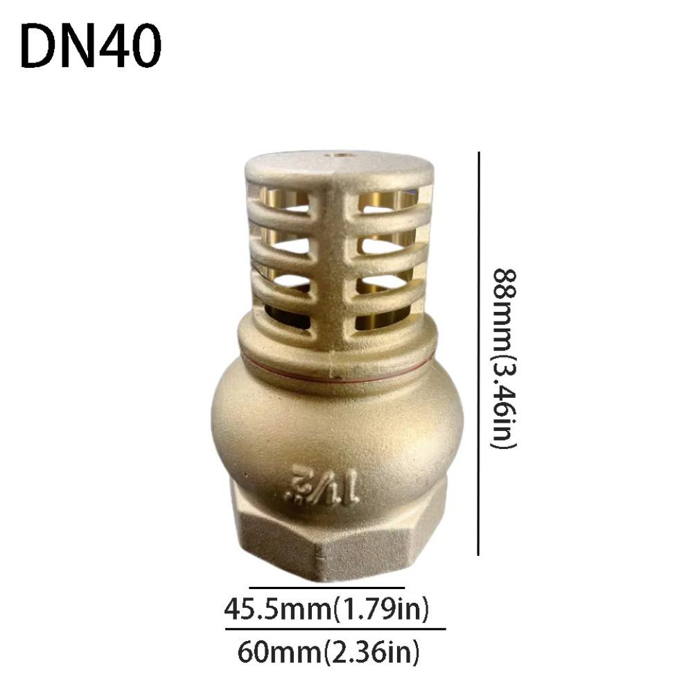 Anti Backflow Bottom Valve Female Thread Check Valve Brass Brass Foot Valve  Direct Supply