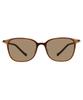 Солнцезащитные очки Цветные УФ SMART Тонкие Коричневые [Zoff] SUNCUTGlasses/100% УФ-защита Линзы в стиле Веллингтон, Легкие, Гибкие, Противоскользящие, Стильные,