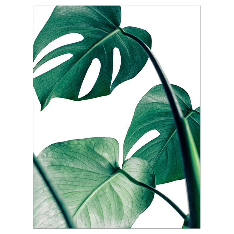 Nordic Green Palm Leaf Wall Art Monstera Leaves Canvas Painting Minimalist Tropical Plant Wall Picture for Living Room Decor