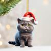 Рождественская подвеска в виде кота, акриловая шапка Санты, мультяшный кот, подвесное украшение, брелок для ключей, подвеска в виде котенка, украшение на рождественскую елку, подарок для любителей кошек