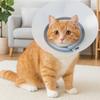 Breathable Pet Protective Collar Adjustable Anti-Bite Collar Recovery Cone Collar  Animal Care