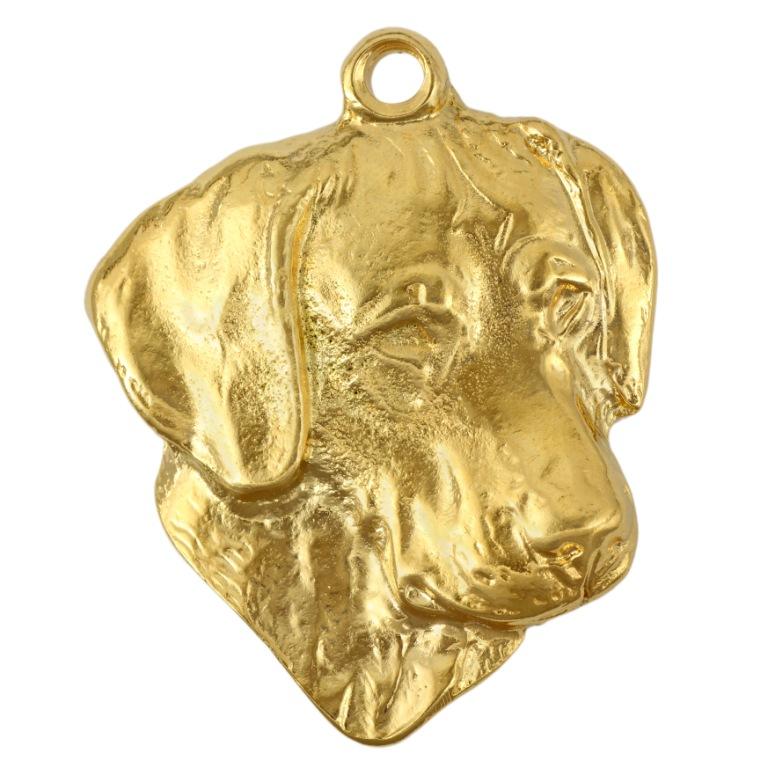 Rhodesian Ridgeback, African Lionhound - necklace with a dog in a gift box, gold-plated pendant for a dog lover, striking jewelry by Art-Dog