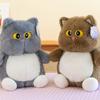 Soft Cat Plush Toy Fluffy Cat Stuff Doll Fun Big Eyes Cat Plush Doll  Children's Toys