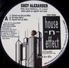 12inch Record SHEY ALEXANDER - You Put A Spell On Me HNE9308 House -N- Effec 1993 US Dance & Electronica Used