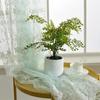 Embroidered Lace Curtains Living Room Bedroom Elegant Organza Floral Delicate White Gauze Home Window Decor,1pc