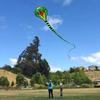 This snake-shaped kite is perfect for beginners. It's easy to assemble and launch. Suitable for adults and children, and ideal for family trips. 8