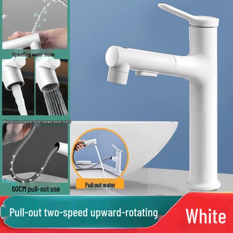 Versatile Pull-Out Kitchen and Bathroom Faucet