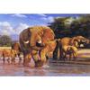 5D DIY Diamond Painting Animal Elephant Rhinestone Picture Full Diamond Embroidered Elephant Mosaic Art Furniture Decoration