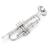 Eastar Trumpet Bb Tone Trumpet Beginner with Clean Accessories (Nickel Plated)