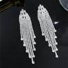 Temperament Senior Sense Of Set Rhinestone Tassel Long Earrings Light Luxury Style Fashion Women's Earrings New Earrings 1 Pair