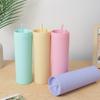 1pc Plastic Straw Cup Double-Layer Water Bottles Coffee Cup Reusable Hard Plastic Tumbler With Lid Drinkware Gift