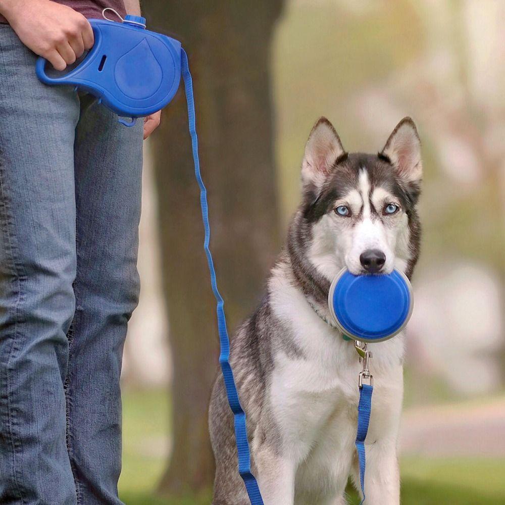 Detachable Dog Traction Rope Plastic Handheld Dog Leash Retractable Dog Leash For Outdoor Walking