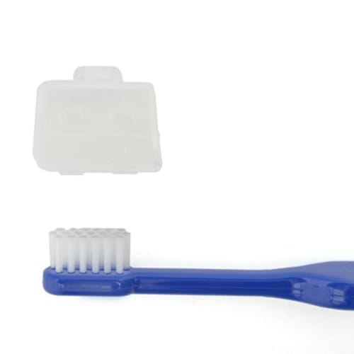COLORFUL CANDY STYLE Toothbrush for Boys and Kids, with Cap, Compact, Made In Japan, Safe, Dinosaur King Collection, N5800750