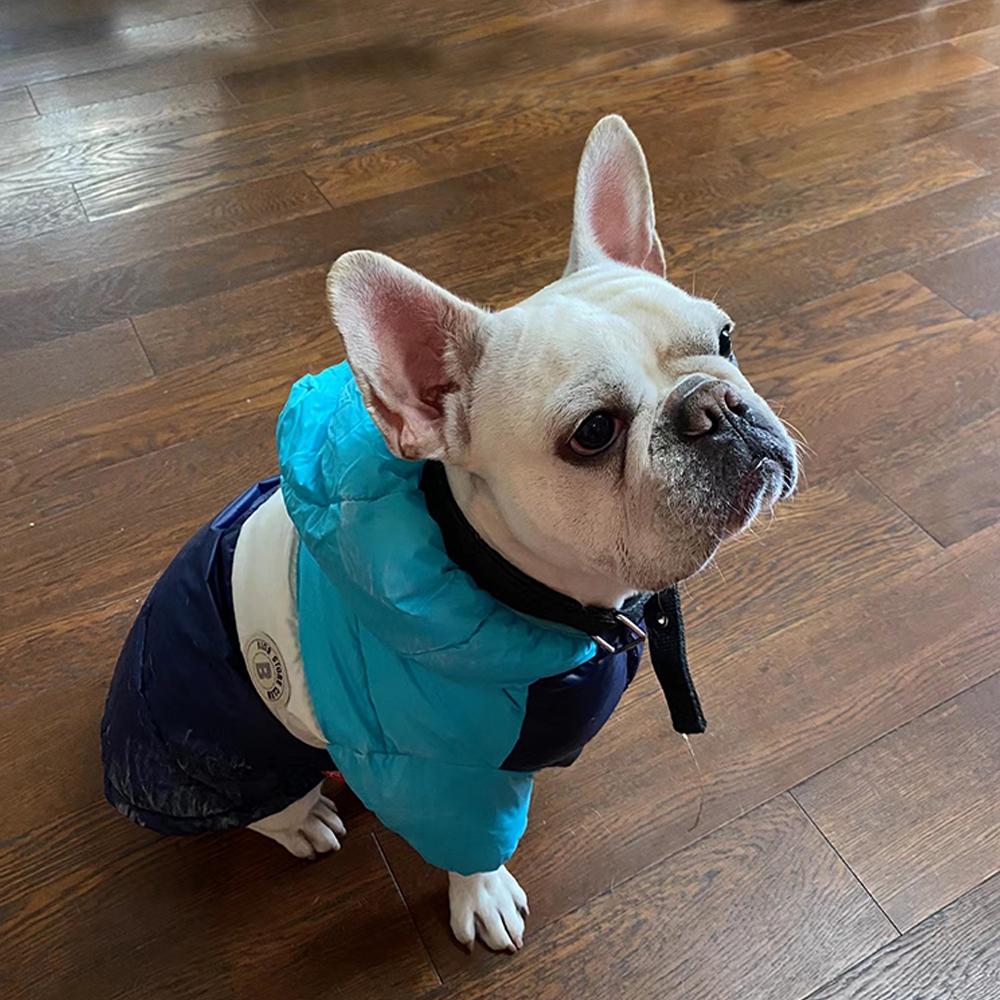Одежда для собак Осенняя и зимняя теплая одежда с хлопковой подкладкой Водонепроницаемая куртка-пуховик Модная двуногая одежда