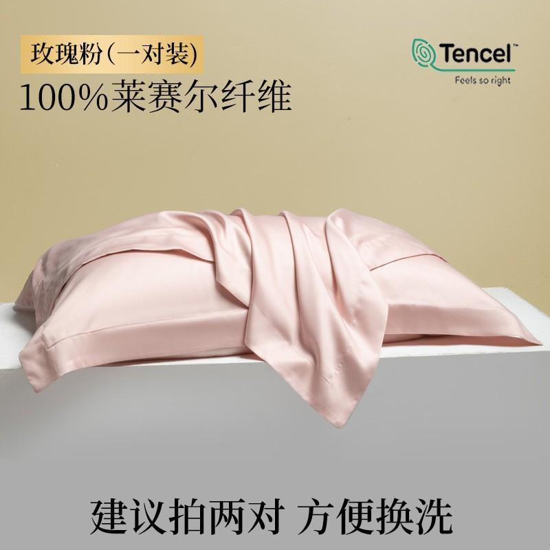 Tencel Pillowcases Set Of 2 48x74cm Modal Fiber Breathable Cooling Sleep Cover Modern Minimalist Design