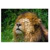 Damoa Test Tube Jigsaw Puzzle Lion with Closed Eyes, 180 Pieces, Mixed Colors