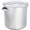 Endo Shoji Commercial-Grade Stockpot, 27cm (with Measuring Scale), Molybdenum, Made In Japan, AZV10027