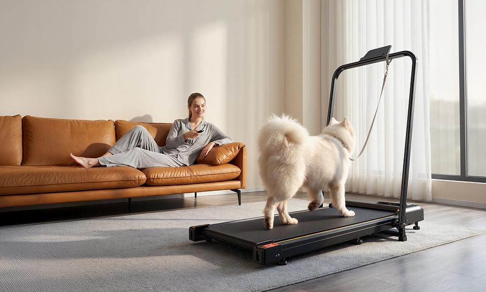 Quiet Folding FT41-DZ Electric Treadmill 1-10km/h 8% Incline Up to 100kg