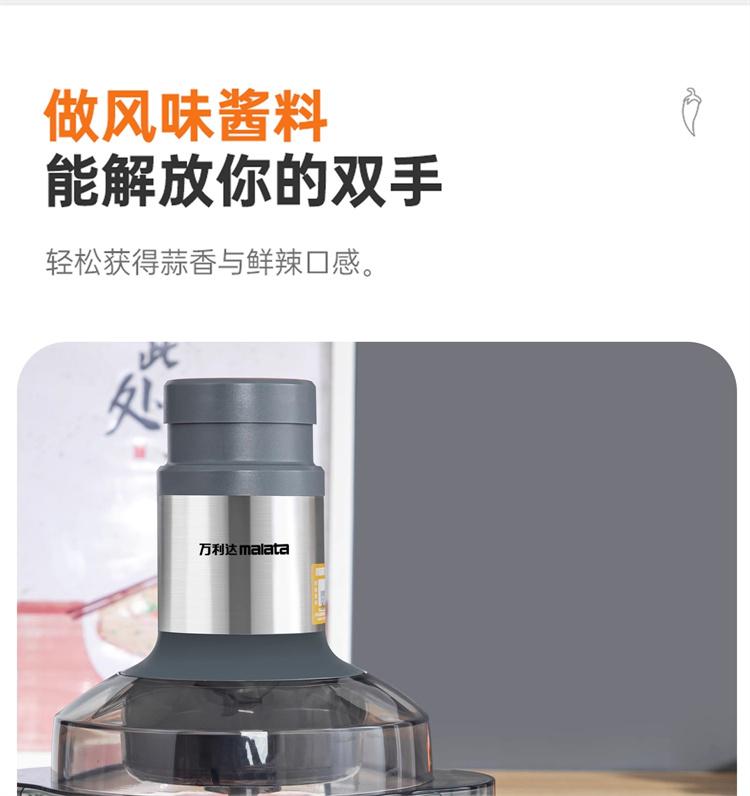 Wanlida Home Electric Stainless Steel Multi functional Pure Copper and Noodle Meat Grinder