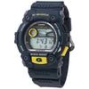Часы G-SHOCK G7900-2 (Импортный)