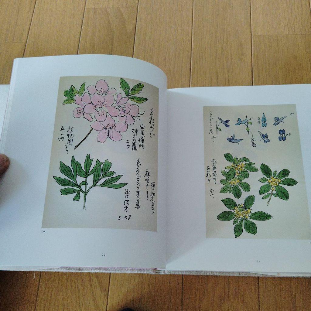 [USED] Naoyuki Sakamoto Sketch Collection