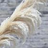 Yousheng 1/2/3/4/5Pcs Artificial Pampas Grass Bohemia Realistic Fluffy Fake Dried Grass Home Office Wedding Party Table Centerpiece Boho Decor