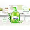 Blue Moon Aloe Vera Antibacterial Hand Wash Set