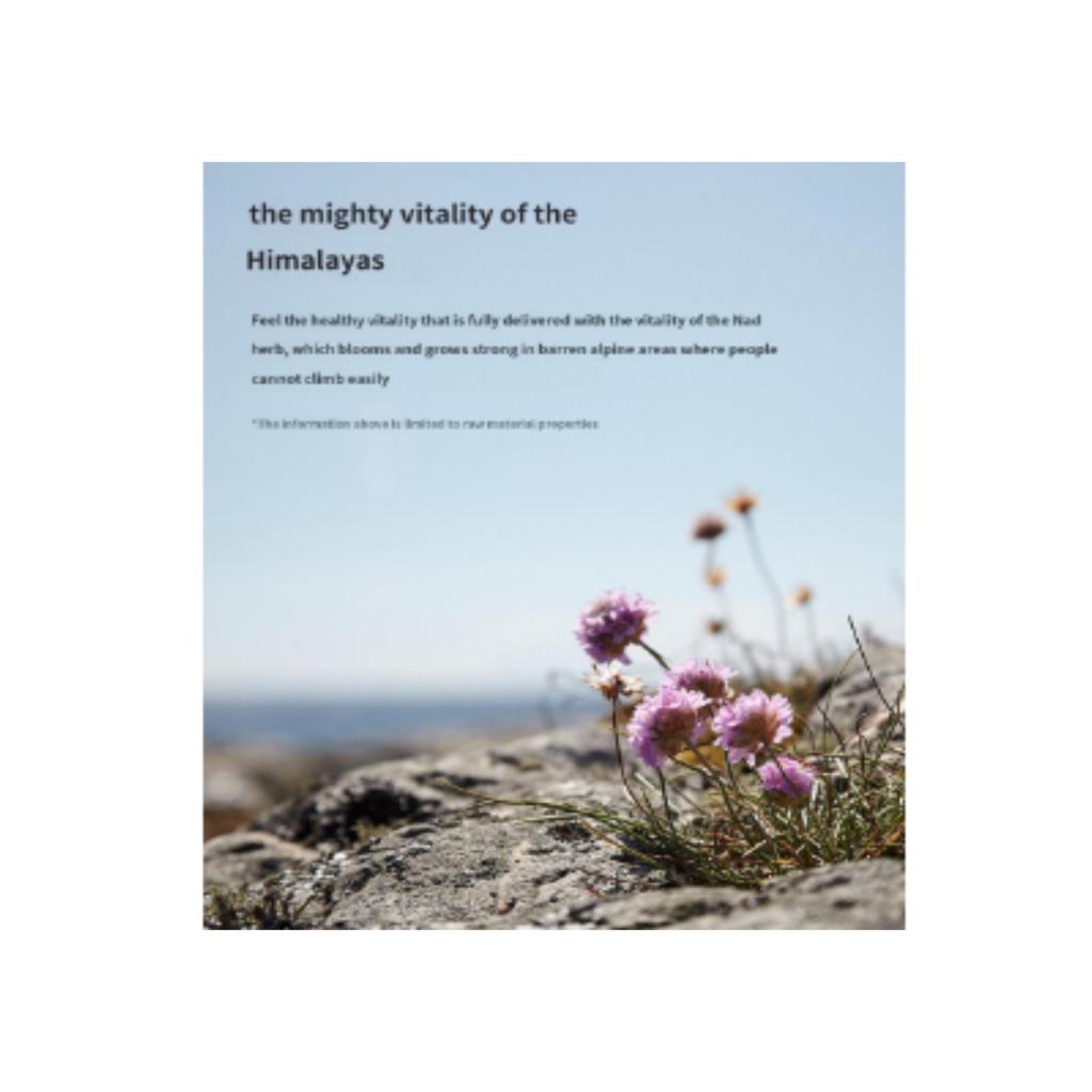 Букет Garnier Nard Hand Wash Lemon Mint 280мл x 3шт