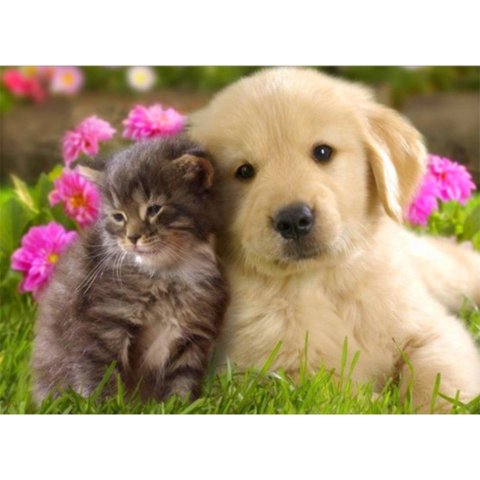 5D DIY алмазная живопись животное кошка собака набор для вышивки крестом полный круглый алмаз вышитая мозаика художественная картина украшение со стразами