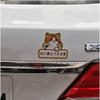 Magnetic Sticker for Cars, Beginners, MT Cars, Recording, Caution, Magnet MT Cars, Cat Pattern