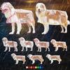 Pet Big Dog Transparent Out Raincoat Golden Retriever Labrador Multi-sided Herding Large Dog Dog Clothes