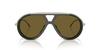 Sunglasses 0EA4242U SHINY OLIVE GREEN 56 [Emporio Armani]