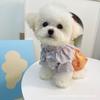 Spring and Summer Dog Cute Cartoon Medium and Small Dog Strap Skirt Cat Two Feet Skirt Pet Dress Dog Clothes