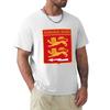 Escadron De Chasse 230 Norunisexdienieunisex French Air Force Tshirt Big And Tall Casual Tshirt