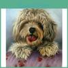 Diy Painting 5d Dog Diamond Cross Stitch Kit Mosaic Diamond Embroidery Rose Full Roundsquare Drill Home Decoration