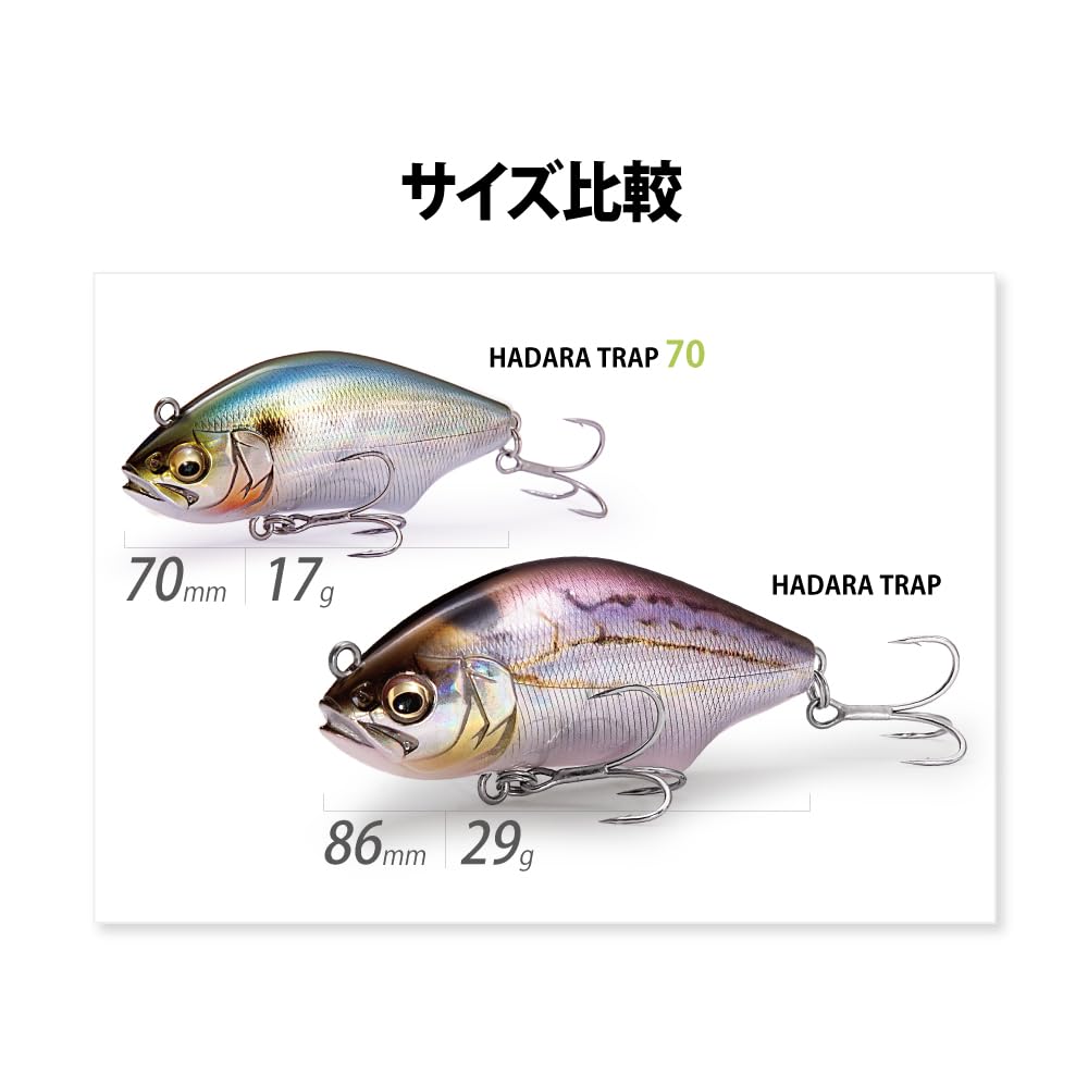 Megabass HADARA TRAP 70 SH RB Shad