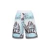 Nike SS23 SS24 ДНК 'CHBL' Баскетбольные шорты Мужские Розовый Синий HF6151-418