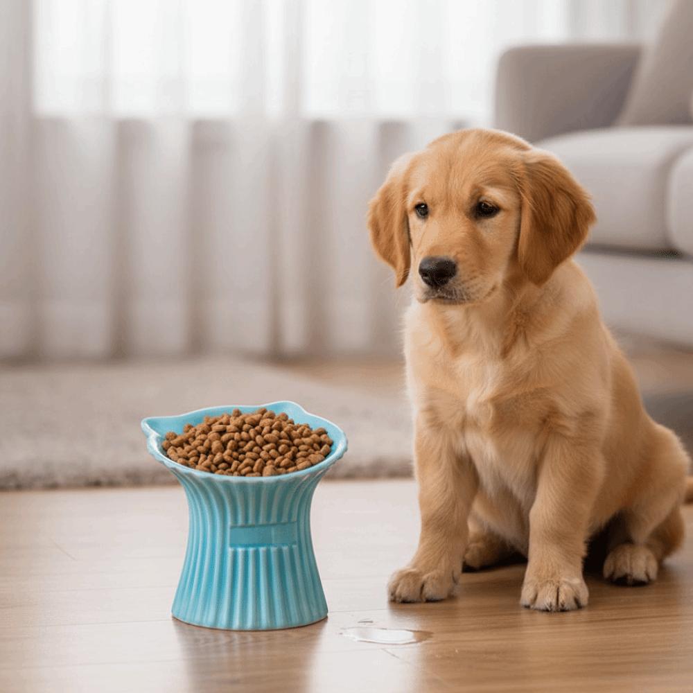 High Foot Dog Food Feeder Anti-Slip Base Cat Feeding Dish Cute Pet Drinking Bowl Food Feeding