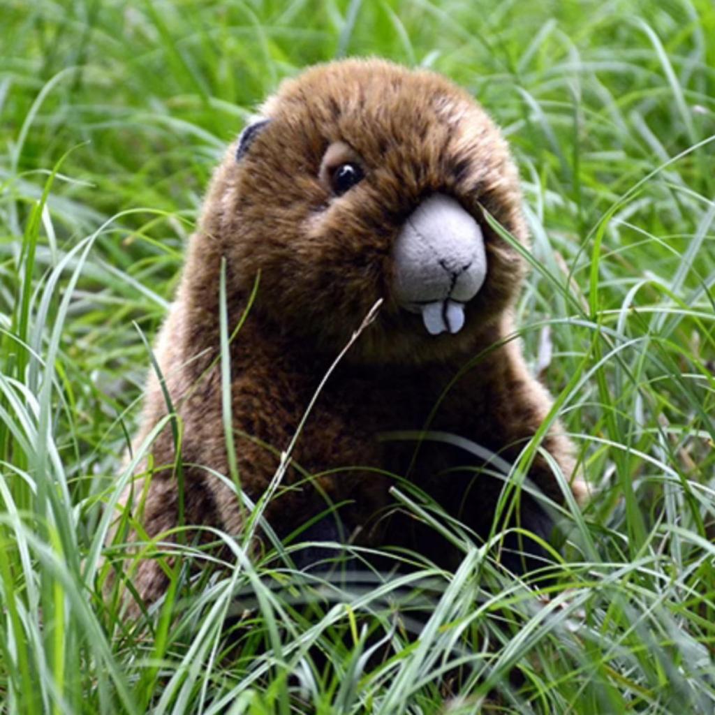 lilizzhoumax Realistic Groundhog Super Soft Groundhog Stuffed Kids Brown Plush, Animal, Girl's Toy, Gift, 9-Inch