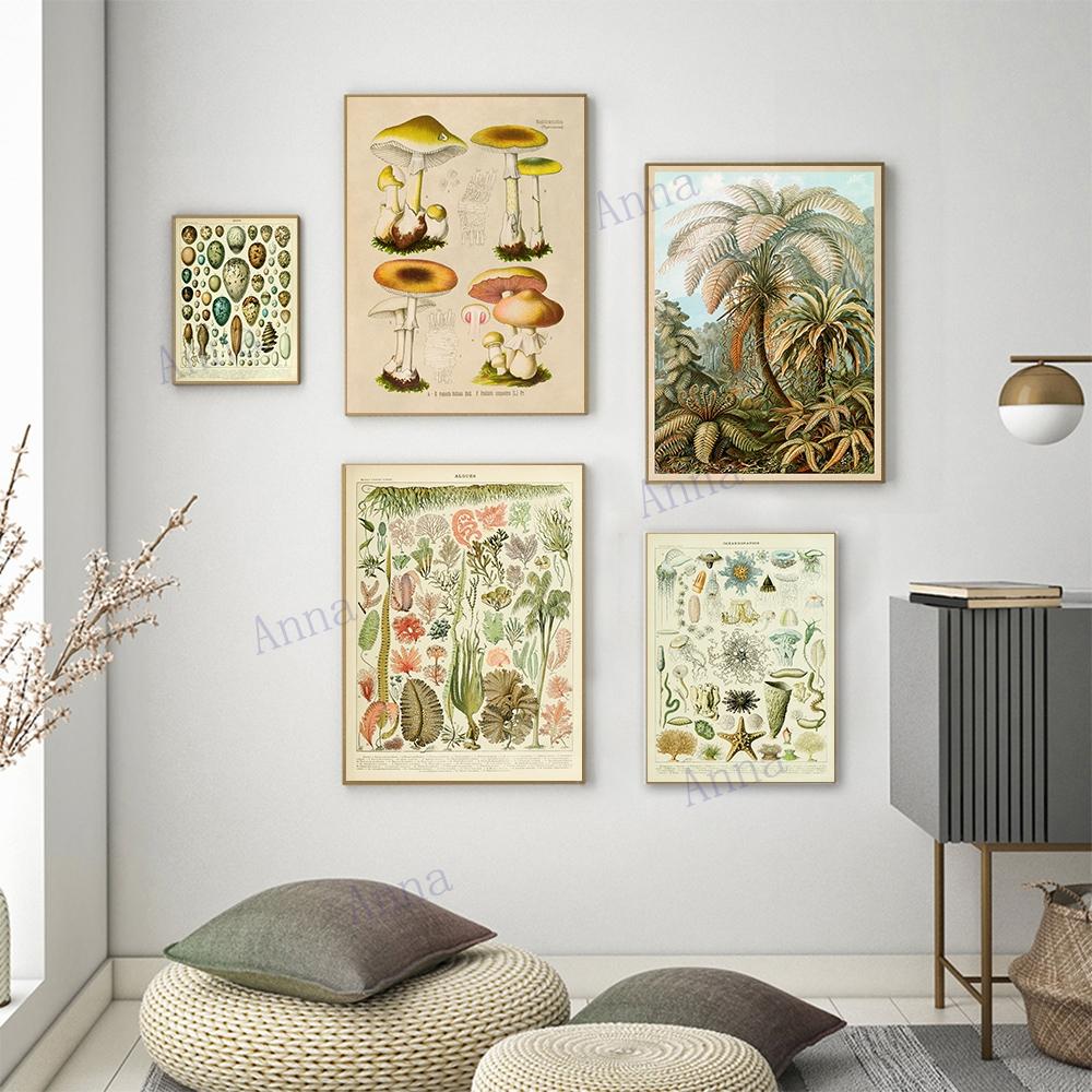 Adolphe Millot Encyclopedia Poster Fruit Botanical Mushrooms Herbs Flowers Canvas Paintings Print Vintage Wall Art Room Decor