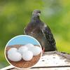 6pcs White Solid Plastic Pigeon Dove Eggs Dummy Eggs Improve Laying Survival Rate