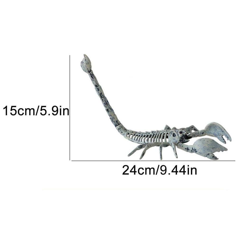 Animal Skeleton Bone Figurine Terrible Spider Bird Skull Statues Sculptures Hallowee Ornament Home Decoration Desk Accessories