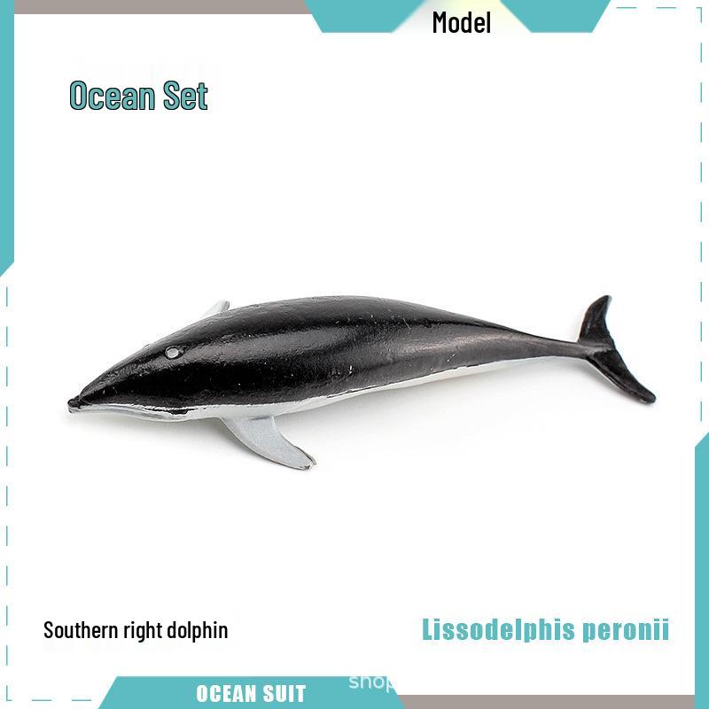 Children's Marine Animal Model Set: Mini Whale, Shark, Dolphin, Turtle, Sea Lion
