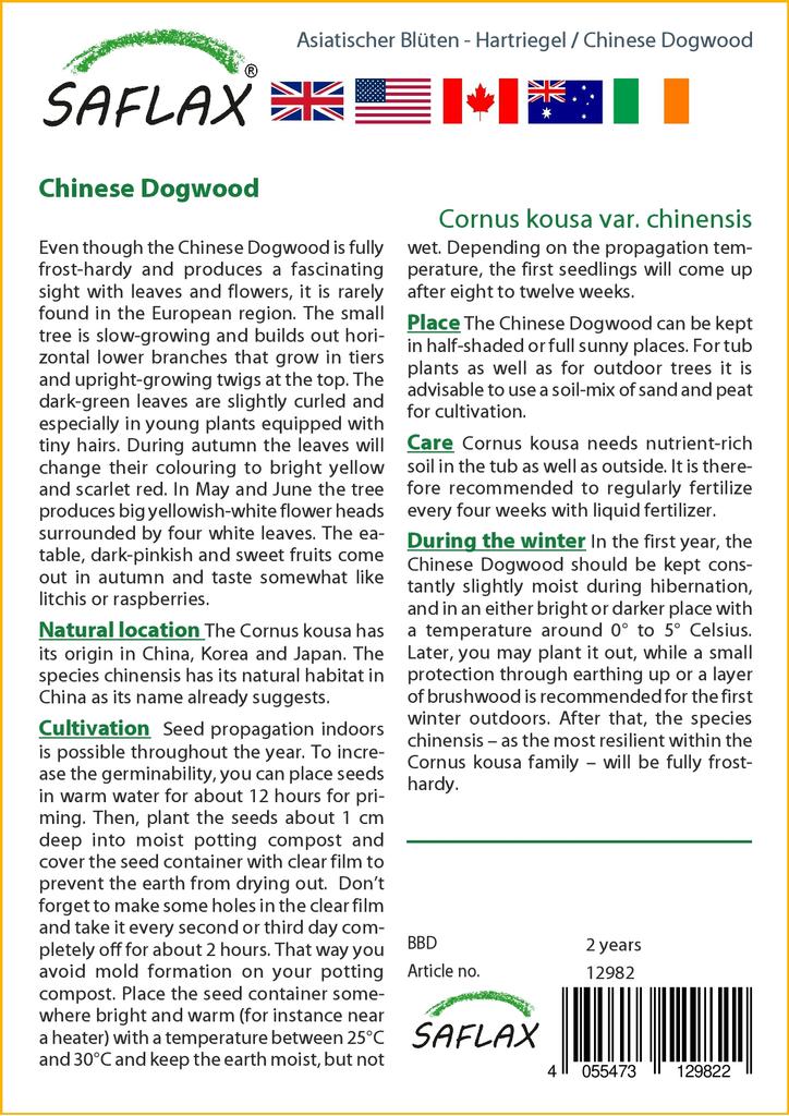 SAFLAX Подарочный набор - Кизил китайский - 30 семян - С подарочной коробкой, карточкой, этикеткой и субстратом для горшков - Cornus kousa